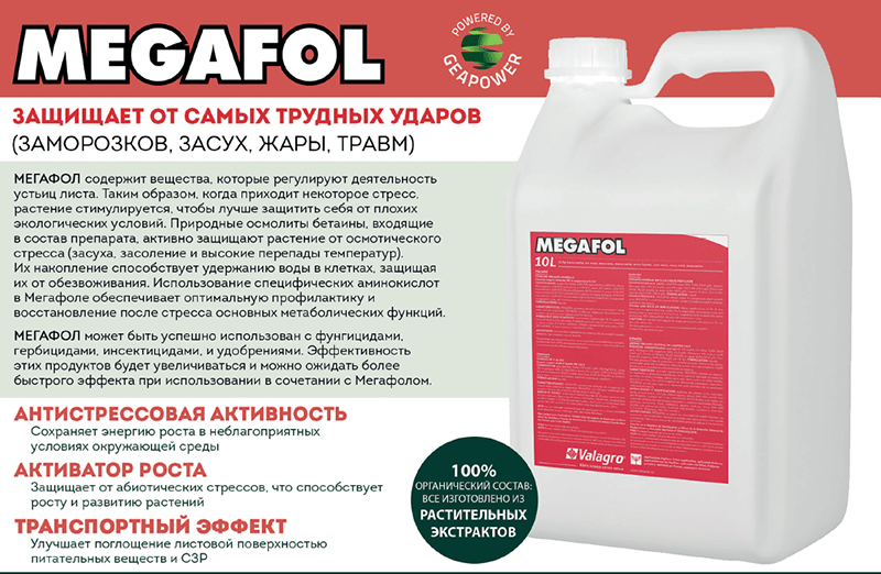 ภาพปุ๋ยเมกาฟอล