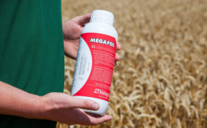 คำแนะนำการใช้ปุ๋ยเมกาฟอลและส่วนประกอบการเตรียม วัตถุประสงค์