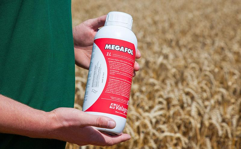 ปุ๋ย "เมกาฟอล"