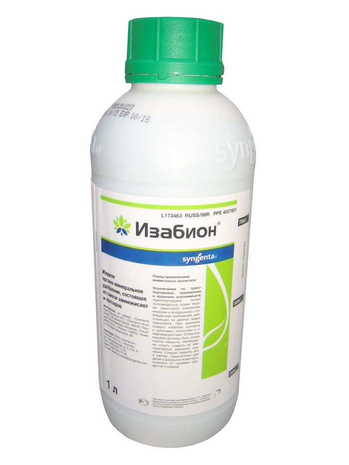 อิซาบิออนในขวด