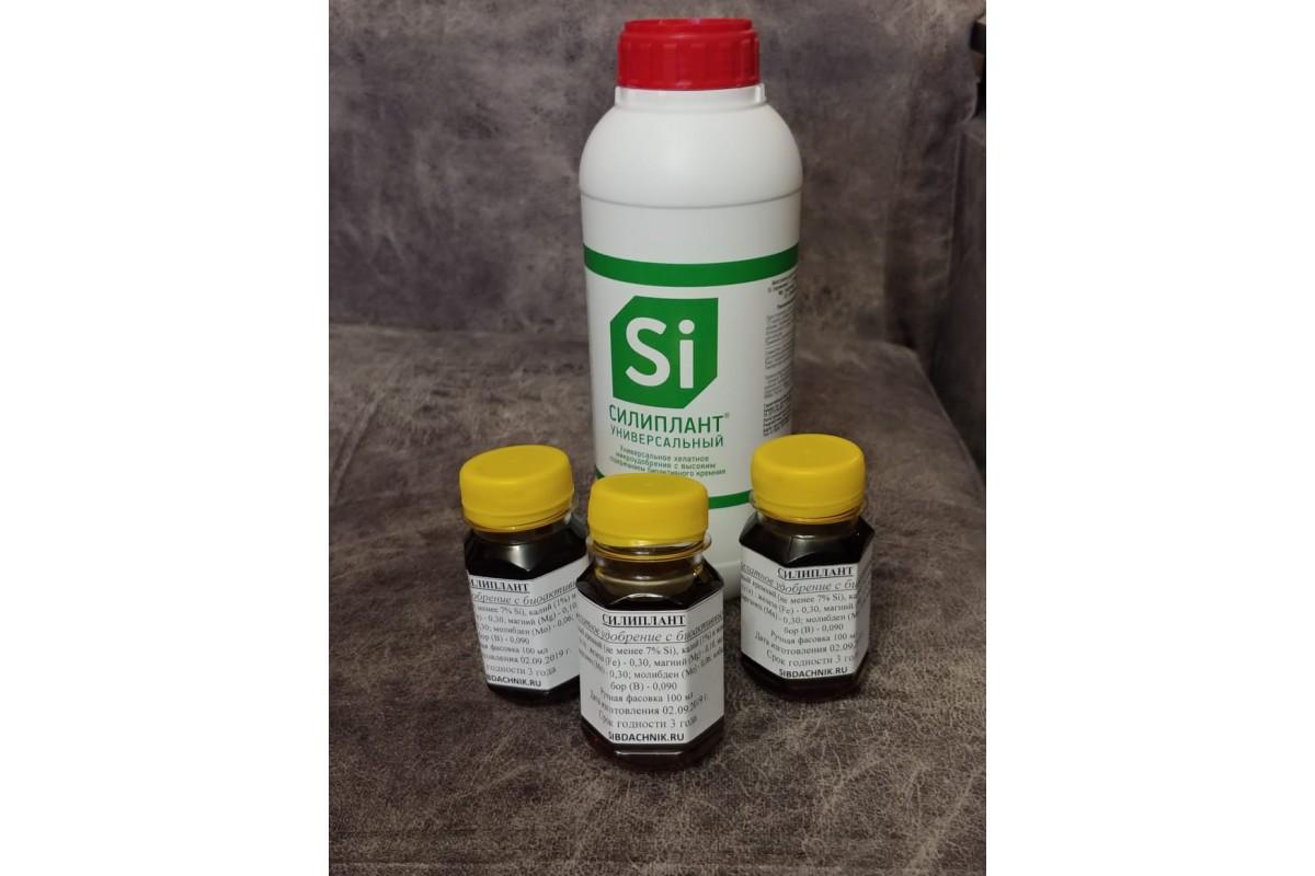 ซิลิแพลนท์