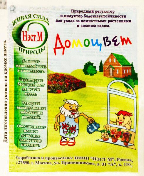 ต้นไม้ในบ้าน