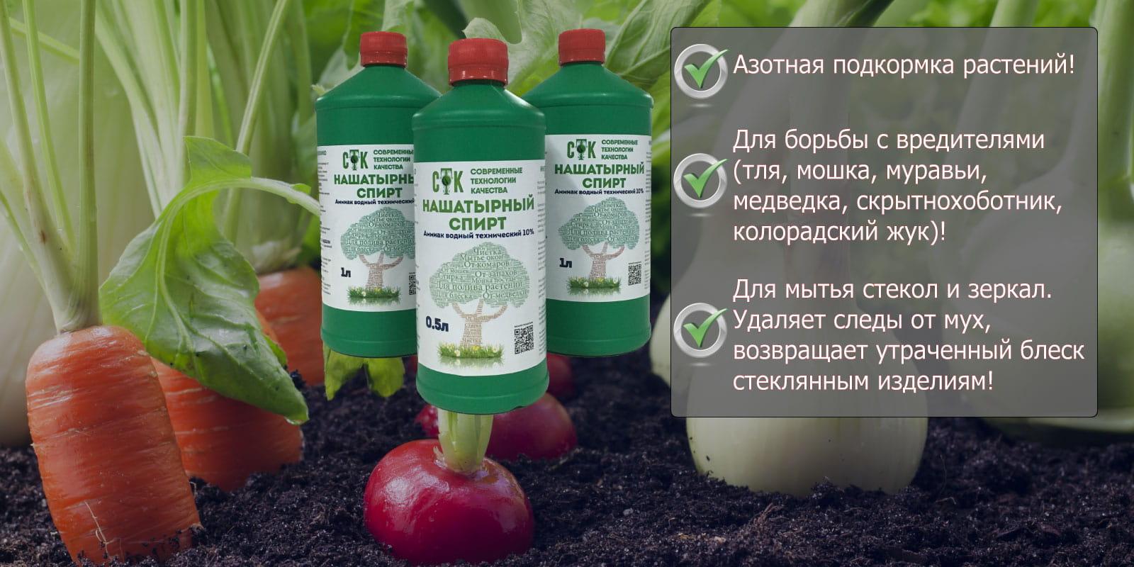 แอมโมเนียในสวน