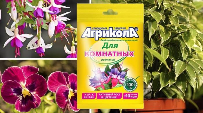 อากริโคลา