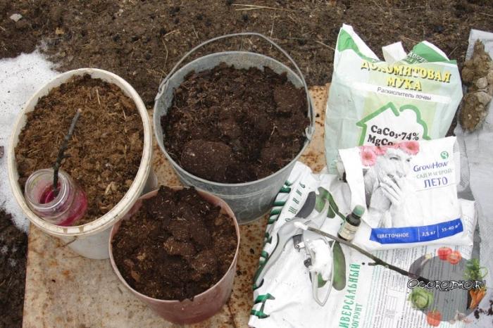 ปุ๋ยมูลวัวสำหรับแตงโม