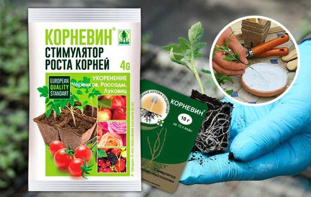 "คอร์เนวิน" และ "อูโคเรนิท"