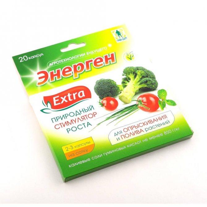 เอเนอร์เจน