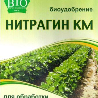 ไนทราจิน