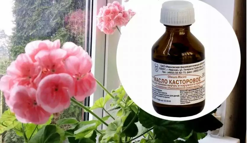 น้ำมันละหุ่ง