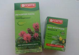 คำแนะนำในการใช้ปุ๋ยจาก Bona Forte ชนิดและองค์ประกอบและสารที่คล้ายกัน