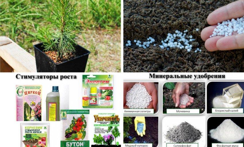 แร่ธาตุ