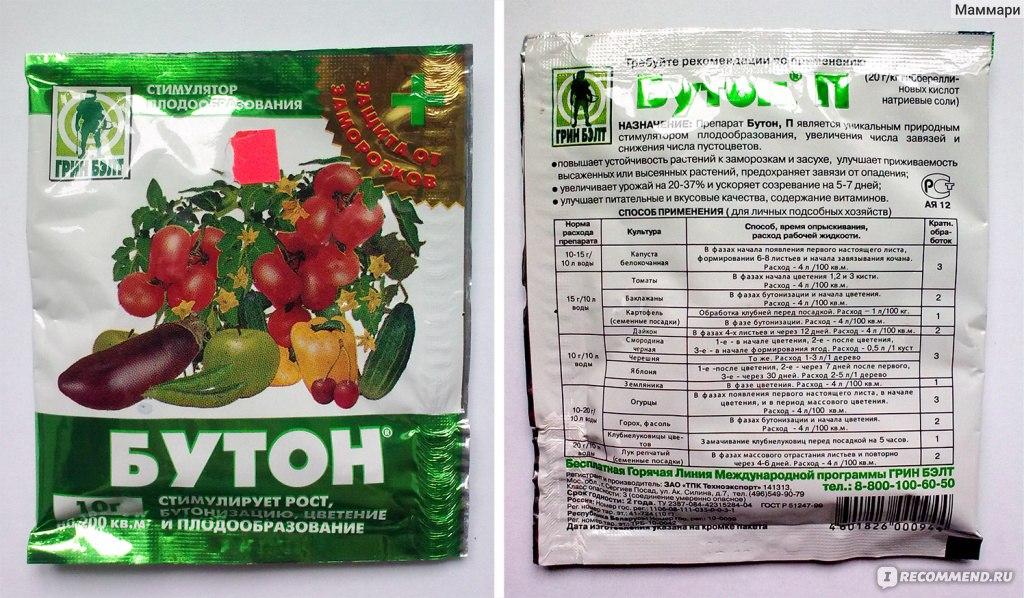 ภาพถ่ายดอกตูม