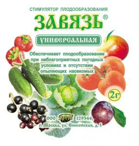 ส่วนประกอบของรังไข่และคำแนะนำในการใช้ยา ข้อดีและข้อเสีย