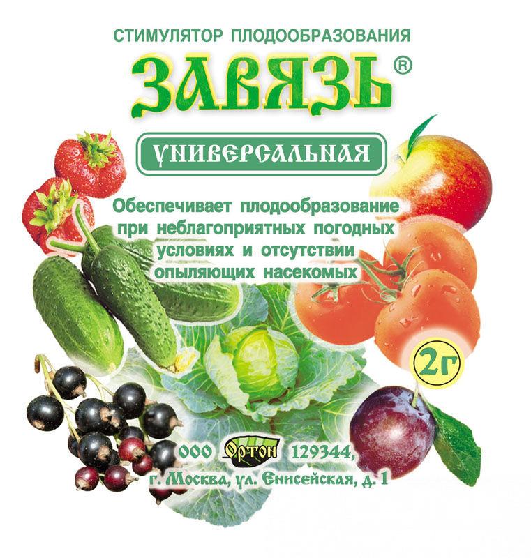 ภาพถ่ายรังไข่