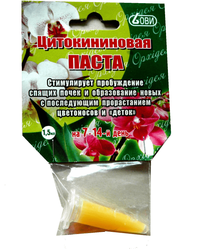 ภาพถ่ายไซโตไคนินเพสต์