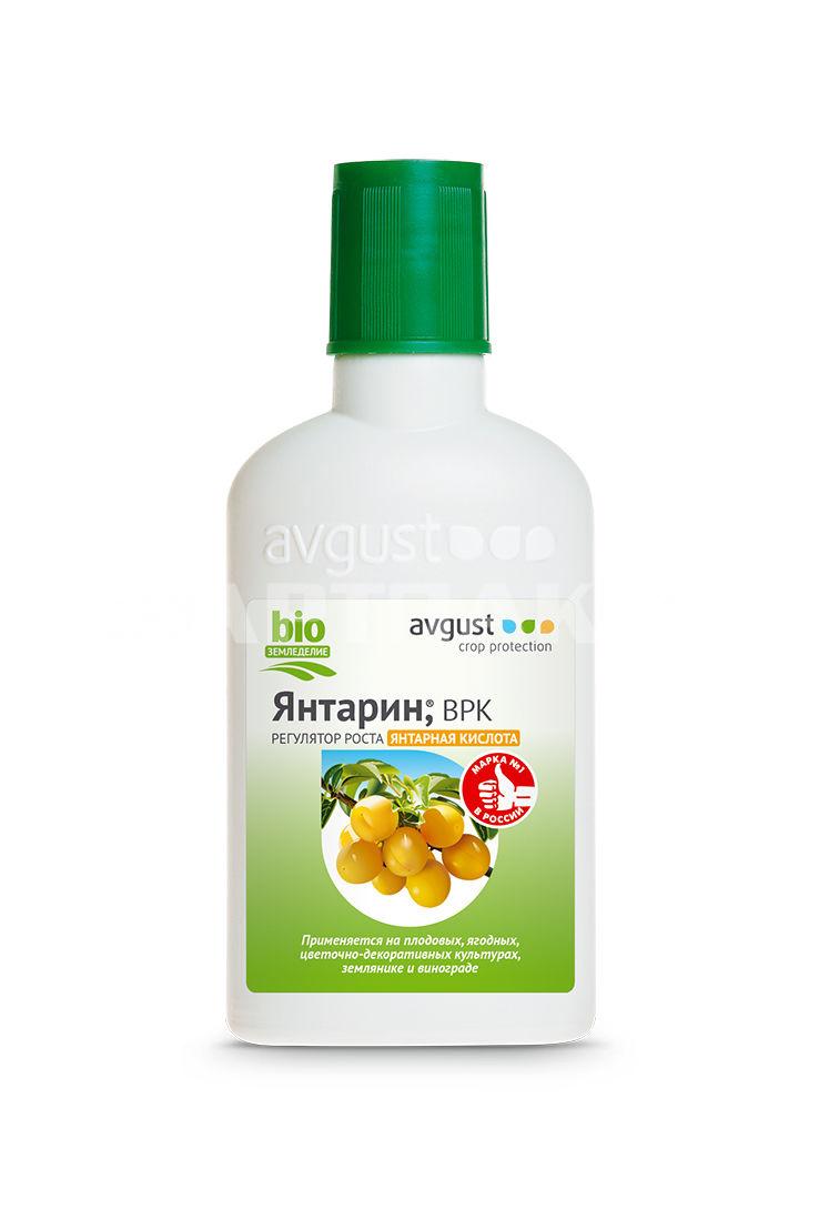 ยันทาริน โฟโต