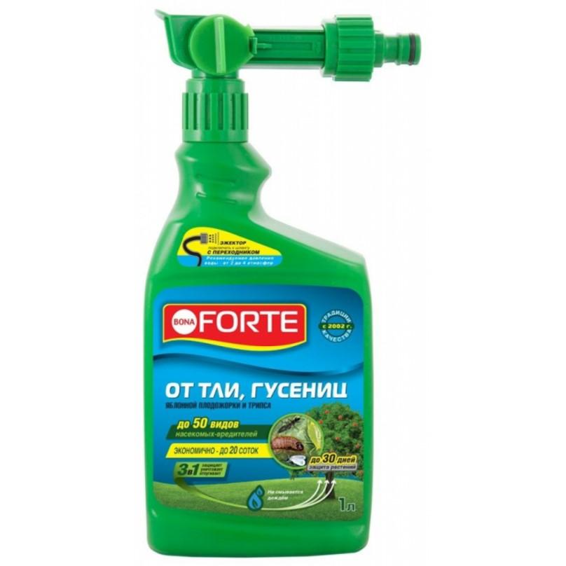 การเตรียมการจาก Bona Forte