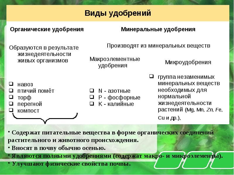 Types d'engrais pour les plantes