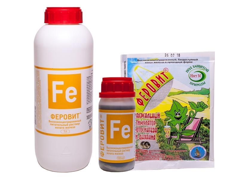 โถเฟโรวิต