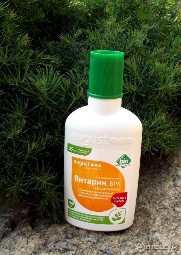 ยันทาริน