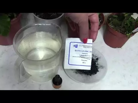 กรดบอริก