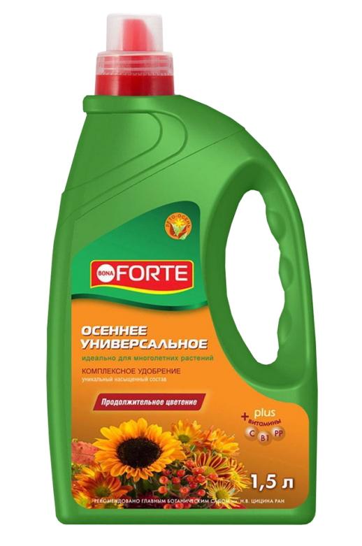 โบน่า ฟอร์เต้