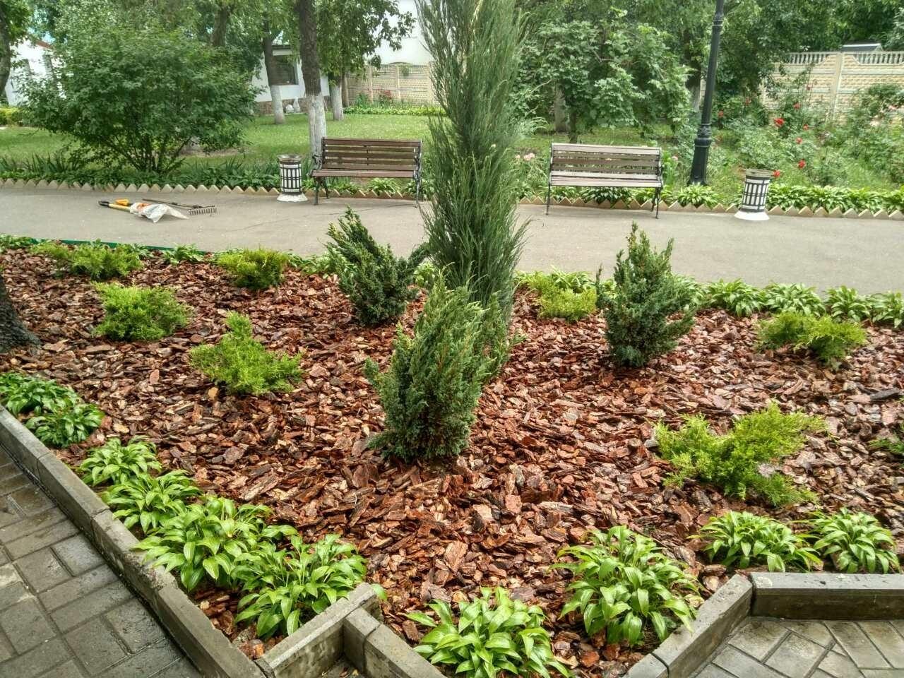 การคลุมดินด้วยเปลือกไม้ ภาพถ่าย