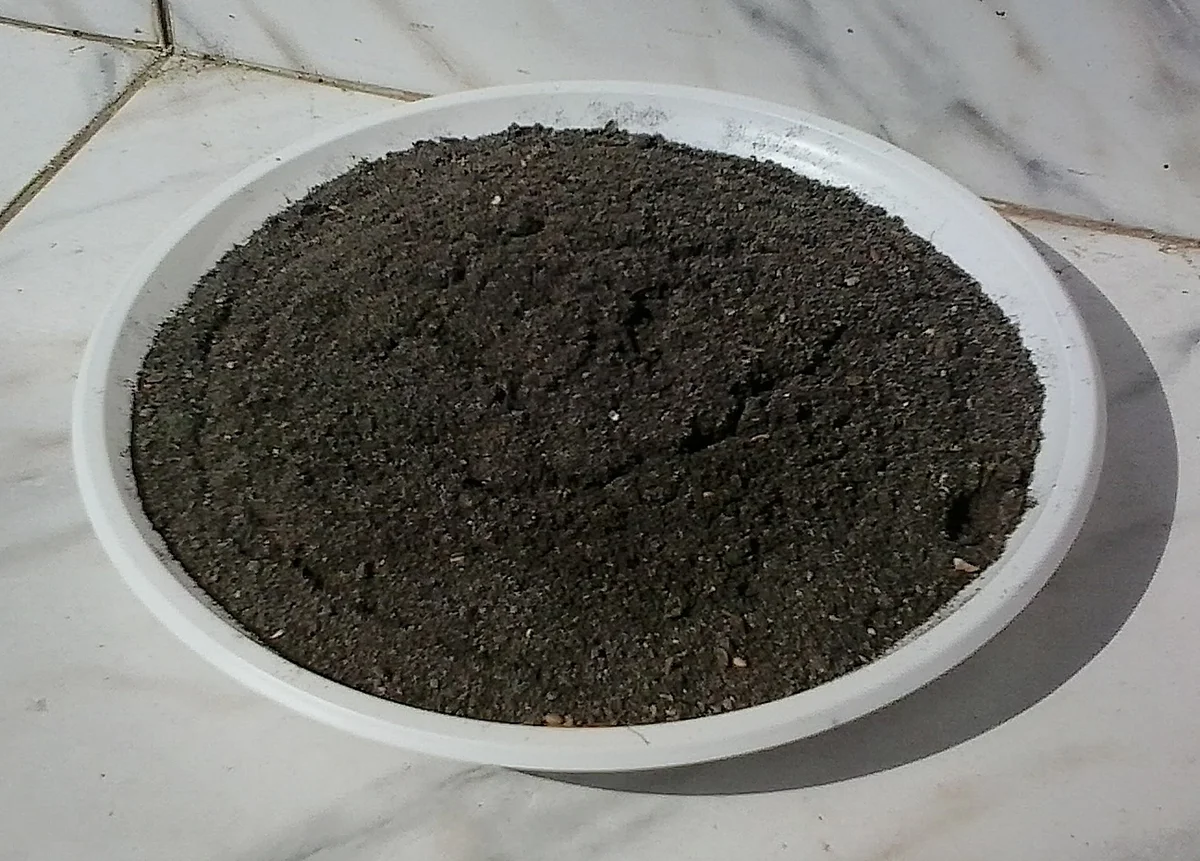 ตะกอนแม่น้ำ