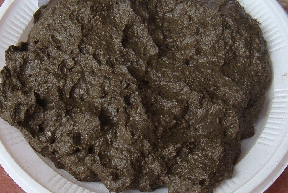 ตะกอนแม่น้ำเปียก