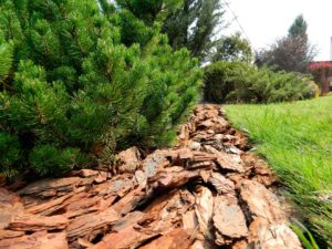 ข้อดีและข้อเสียของวัสดุคลุมดินเปลือกไม้ และวิธีทำวัสดุคลุมดินเอง