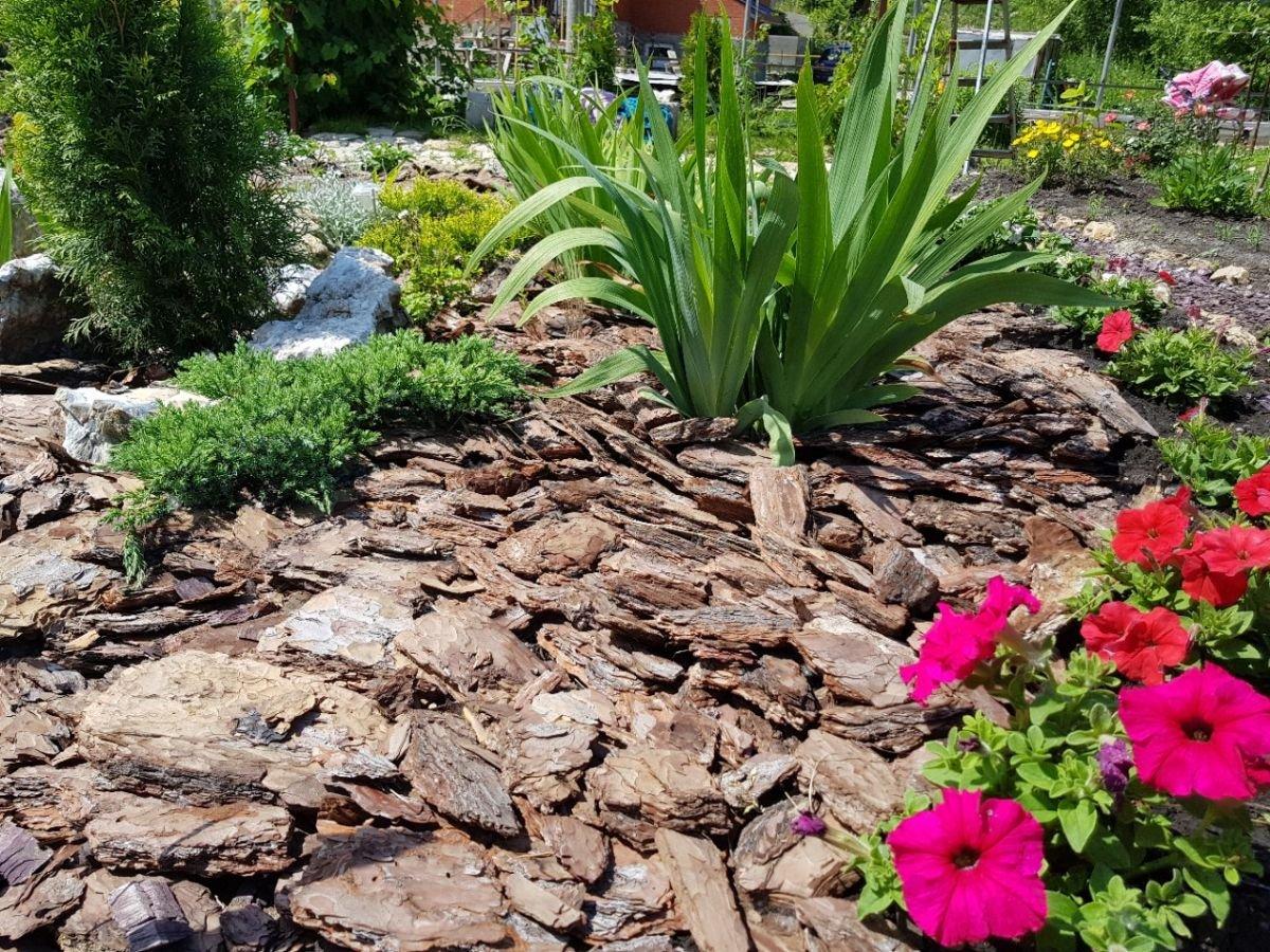 การคลุมแปลงดอกไม้ด้วยเปลือกไม้