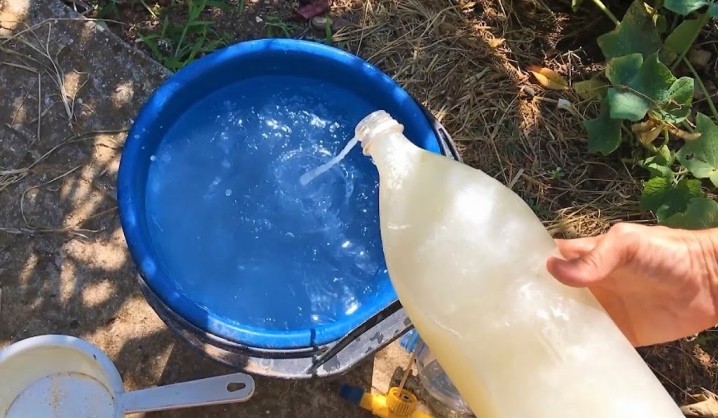 ภาพเวย์ในสวน