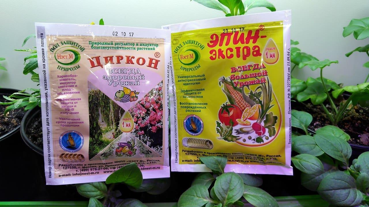 เอปินและเซอร์คอน