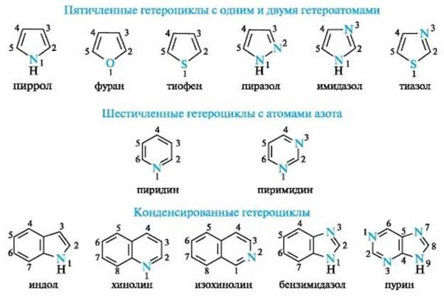 เฮเทอโรไซเคิลที่มีไนโตรเจน
