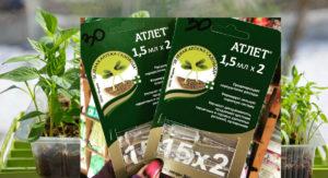 คำแนะนำในการใช้ Athlete สำหรับต้นกล้า ส่วนผสม และปุ๋ยสังเคราะห์