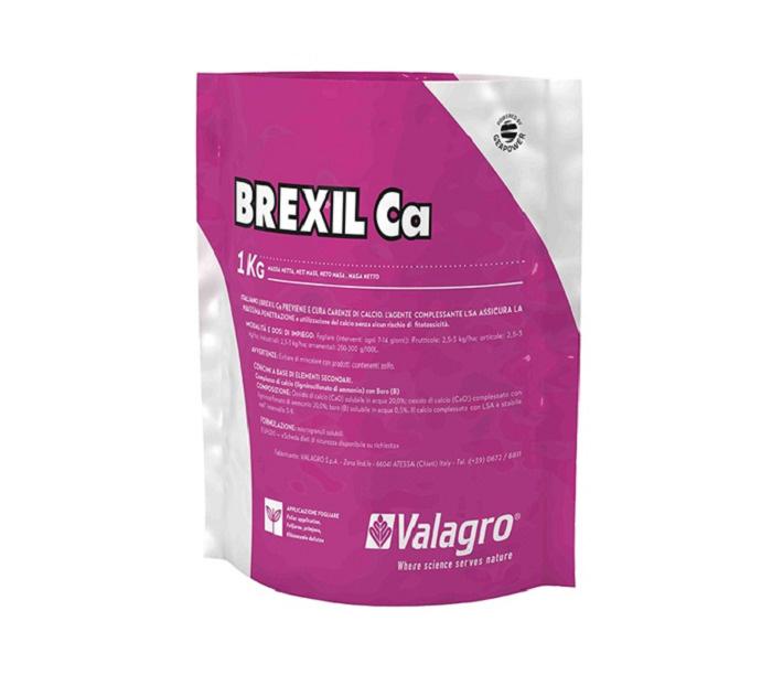 ภาพเบร็กซิท