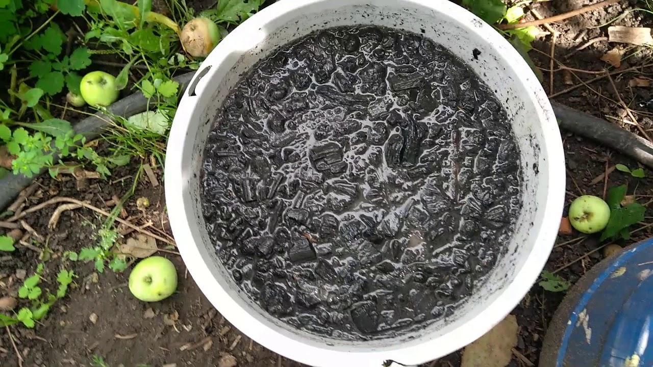 Préparation de la solution de cendres photo