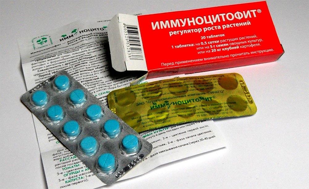 Photo d'immunocytophyte