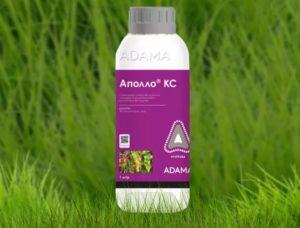 คำอธิบายของสารกำจัดไร กลไกการออกฤทธิ์ต่อพืช และแนวทางแก้ไขที่ดีที่สุด