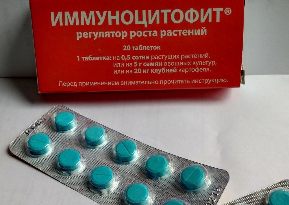 Comprimés d'immunocytophytes