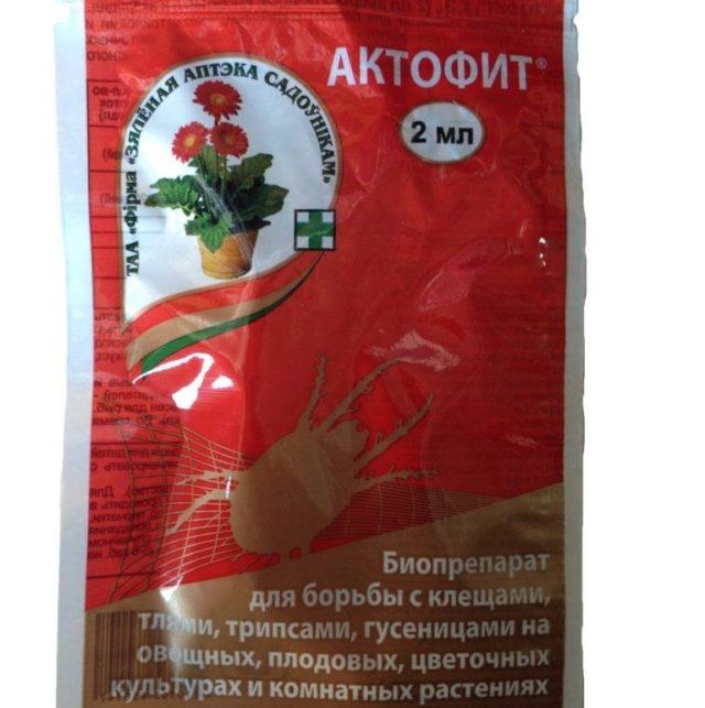 แอคโตฟิต