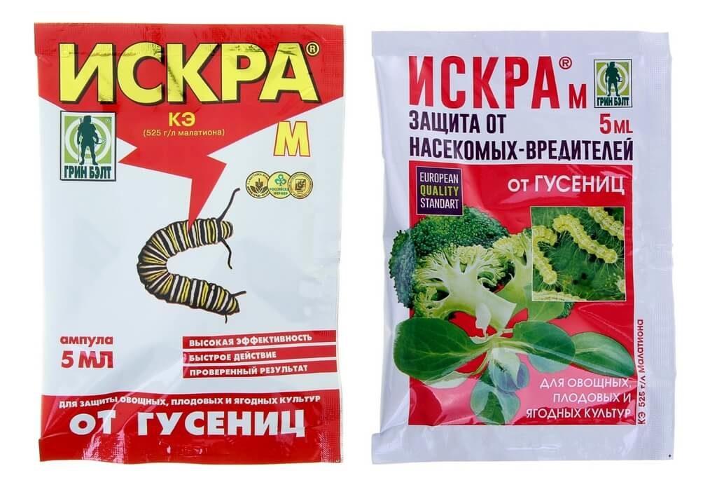 ประกายไฟจากศัตรูพืช