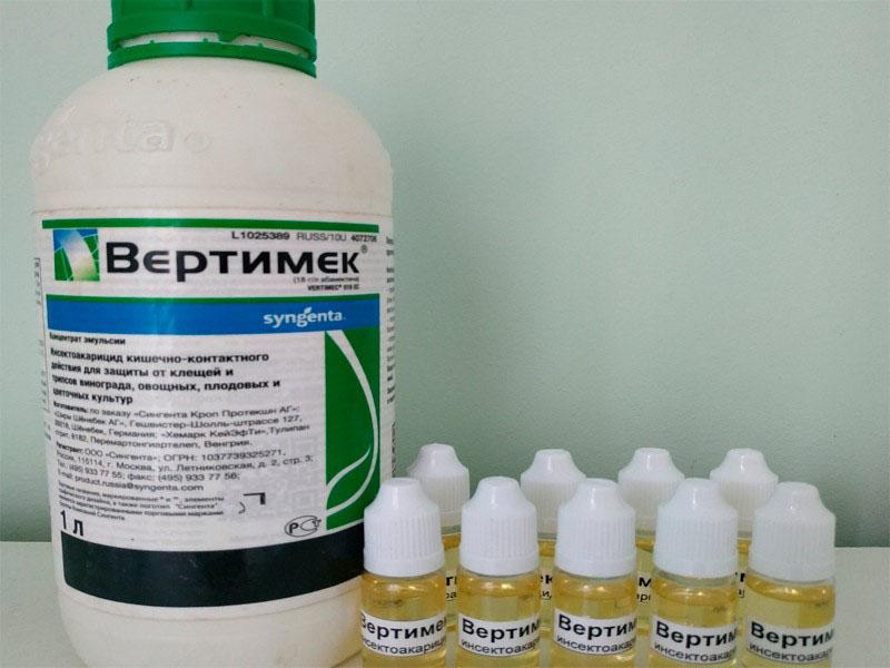 เวอร์ติเมก