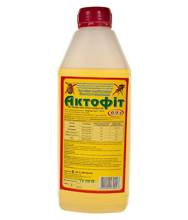 ภาพถ่ายแอคโทฟิต