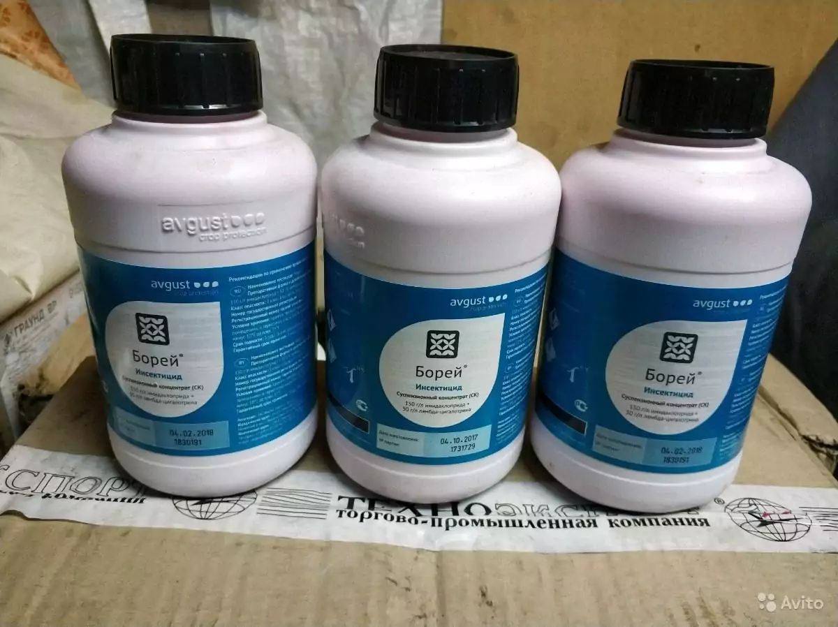 Photo de l'insecticide Borey