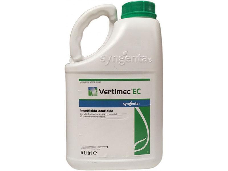 ภาพถ่ายเวอร์ติเมก