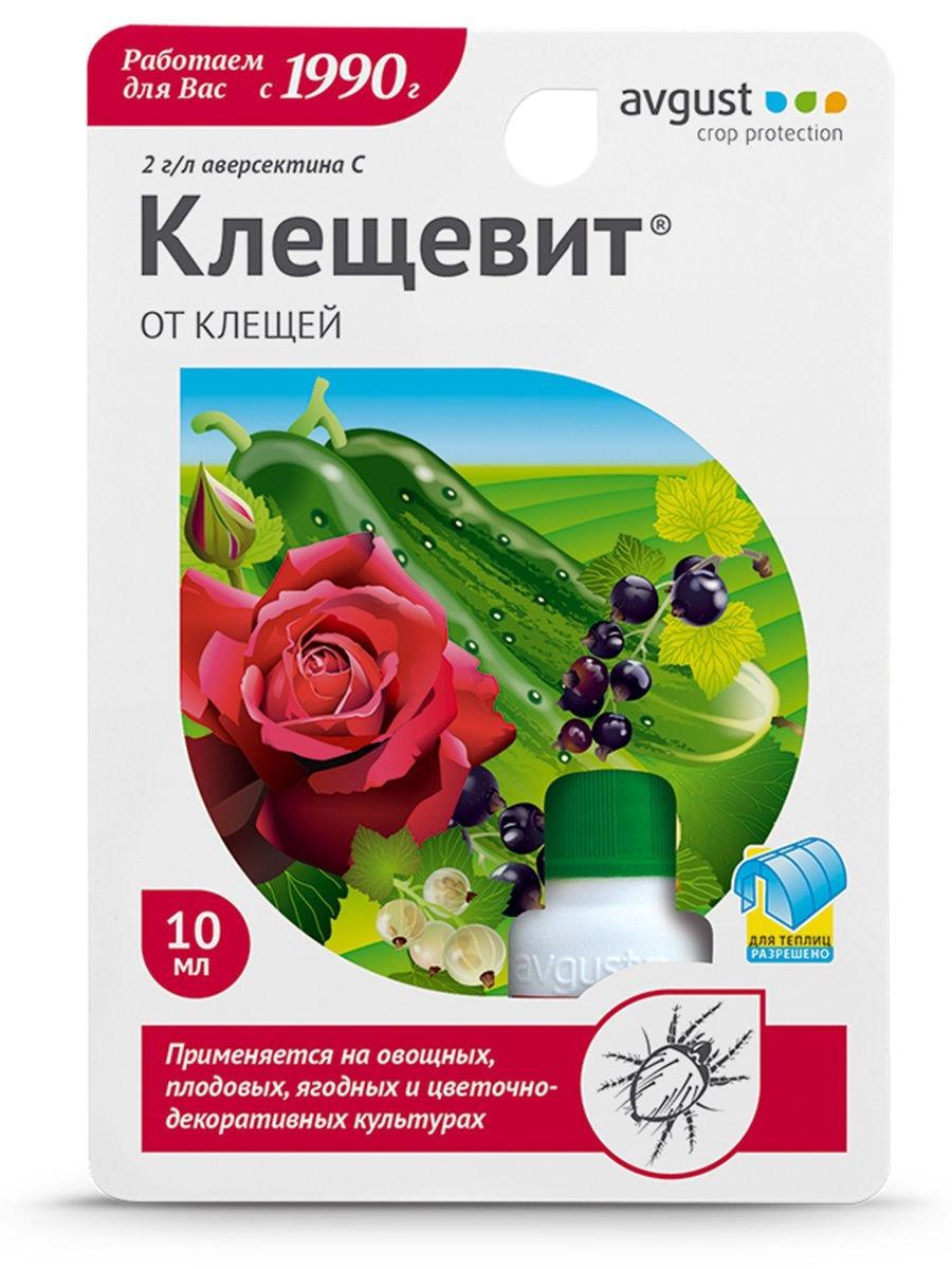 Photo d'encéphalite à tiques