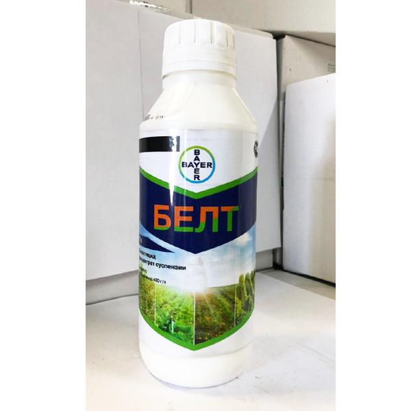 ภาพถ่ายเข็มขัด