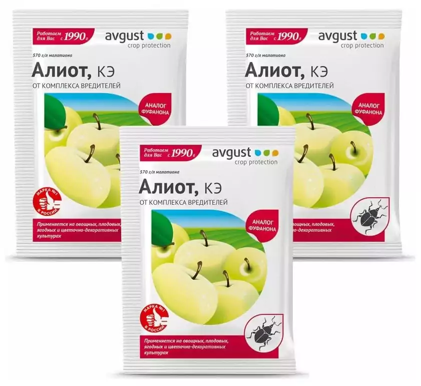 ภาพถ่ายอลิออต