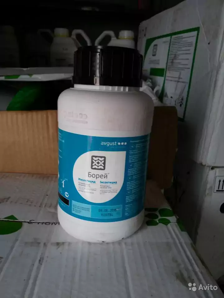 Le médicament « Borey »